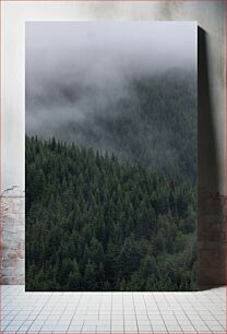 Πίνακας, Foggy Pine Forest Ομιχλώδες πευκοδάσος