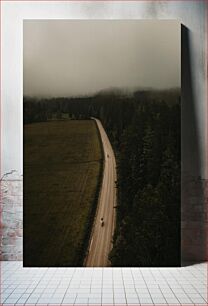 Πίνακας, Foggy Road Through Forest Ομιχλώδης Δρόμος Μέσα από το Δάσος