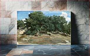 Πίνακας, Fontainebleau: Oak Trees at Bas-Bréau (1832 or 1833) by Camille Pissarro