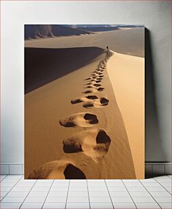 Πίνακας, Footprints in the Desert Ίχνη στην έρημο