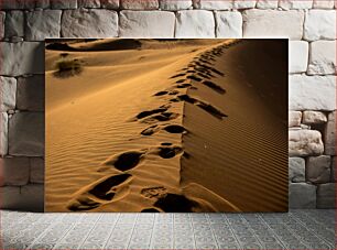 Πίνακας, Footprints in the Desert Ίχνη στην έρημο