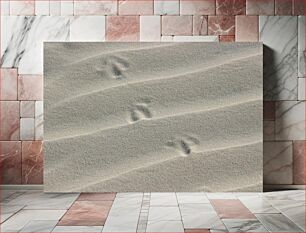 Πίνακας, Footprints in the Sand Ίχνη στην Άμμο