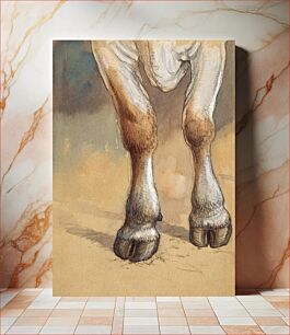 Πίνακας, Forelegs of a Standing Cow or Ox, Newport (1871) by Samuel Colman