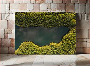 Πίνακας, Forest and Lake Aerial View Εναέρια θέα στο δάσος και στη λίμνη
