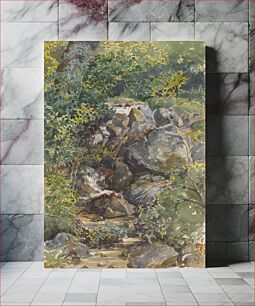 Πίνακας, Forest brook by Friedrich Carl von Scheidlin