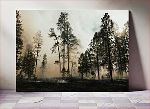 Πίνακας, Forest Fire Aftermath Επακόλουθα δασικών πυρκαγιών