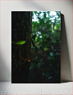Πίνακας, Forest Lizard Close-Up Κοντινό πλάνο Forest Lizard