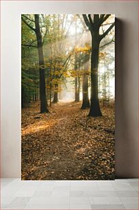 Πίνακας, Forest Path in Autumn Δασικό Μονοπάτι το Φθινόπωρο