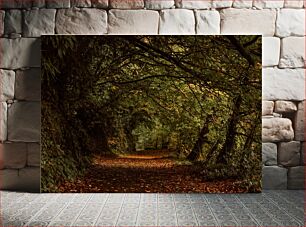 Πίνακας, Forest Path in Autumn Δασικό Μονοπάτι το Φθινόπωρο