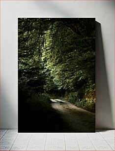 Πίνακας, Forest Pathway Forest Pathway