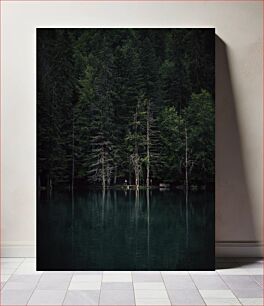 Πίνακας, Forest Reflection Δασική Αντανάκλαση