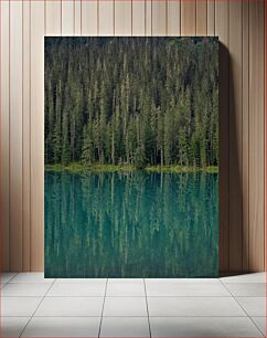 Πίνακας, Forest Reflection on Lake Δασική αντανάκλαση στη λίμνη