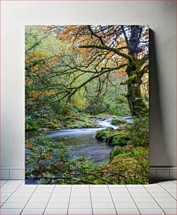 Πίνακας, Forest River in Autumn Forest River το φθινόπωρο