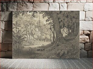 Πίνακας, Forest Scenery near Tamana