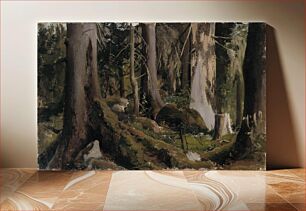 Πίνακας, Forest, study, 1872, Fanny Churberg