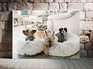 Πίνακας, Four Dogs in Cozy Beds Τέσσερα σκυλιά σε άνετα κρεβάτια