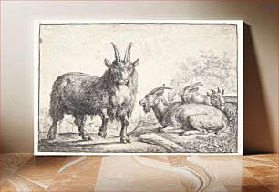 Πίνακας, Four goats by Simon De Vlieger