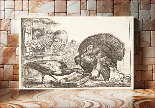 Πίνακας, Four turkeys by Simon De Vlieger
