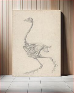 Πίνακας, Fowl Skeleton, Lateral View (Finished Study for Table V) by George Stubbs