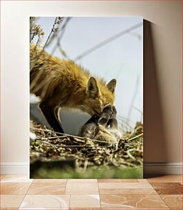 Πίνακας, Fox and Cub in the Wild Fox and Cub in the Wild