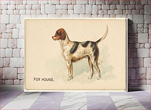 Πίνακας, Fox Hound, from the Dogs of the World series for Old Judge Cigarettes