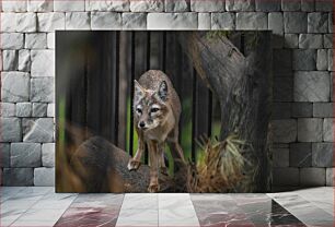 Πίνακας, Fox in Natural Habitat Αλεπού στο φυσικό βιότοπο