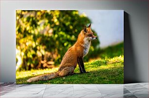 Πίνακας, Fox in Nature Η αλεπού στη φύση