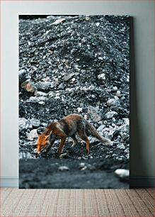 Πίνακας, Fox in Rocky Terrain Fox in Rocky Terrain