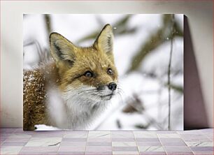 Πίνακας, Fox in Snow Αλεπού στο χιόνι