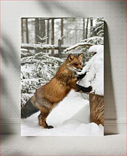 Πίνακας, Fox in Snowy Forest Αλεπού στο Χιονισμένο Δάσος