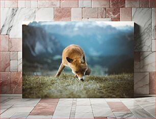 Πίνακας, Fox in the Mountains Αλεπού στα βουνά