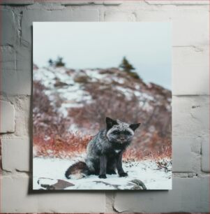 Πίνακας, Fox in Winter Landscape Αλεπού στο χειμερινό τοπίο