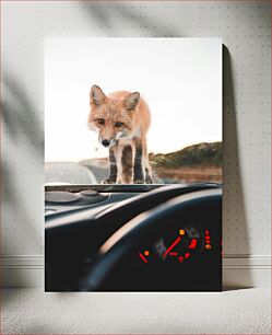 Πίνακας, Fox on Car Dashboard Fox στο ταμπλό αυτοκινήτου