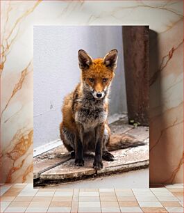 Πίνακας, Fox Sitting on a Wooden Surface Αλεπού που κάθεται σε μια ξύλινη επιφάνεια