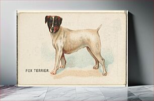 Πίνακας, Fox Terrier, from the Dogs of the World series for Old Judge Cigarettes