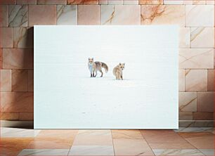 Πίνακας, Foxes in the Snow Αλεπούδες στο χιόνι