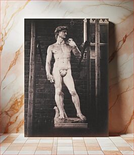 Πίνακας, Fratelli Alinari's Michelangelo's sculpture of David