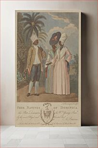 Πίνακας, Free Natives of Dominica