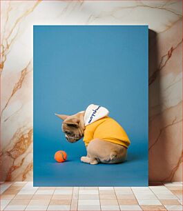 Πίνακας, French Bulldog with Ball and Hoodie Γαλλικό μπουλντόγκ με μπάλα και κουκούλα