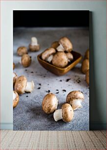 Πίνακας, Fresh Mushrooms on Concrete Surface Φρέσκα μανιτάρια σε τσιμεντένια επιφάνεια