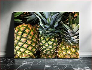 Πίνακας, Fresh Pineapples Φρέσκοι ανανάδες