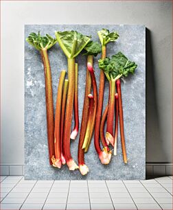 Πίνακας, Fresh Rhubarb Stalks Φρέσκα κοτσάνια ραβέντι