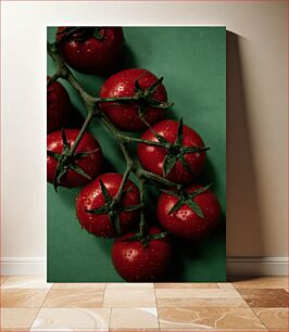 Πίνακας, Fresh Tomatoes on the Vine Φρέσκες ντομάτες στο αμπέλι