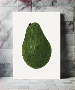 Πίνακας, Fresh whole avocado illustration