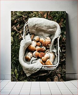 Πίνακας, Freshly Foraged Mushrooms in a Basket Φρεσκοκομμένα μανιτάρια σε καλάθι