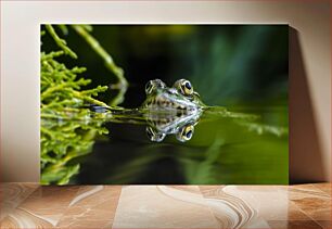 Πίνακας, Frog in Water Βάτραχος στο νερό