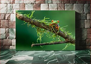 Πίνακας, Frog on a Mossy Branch Βάτραχος σε ένα κλαδί με ποώδη