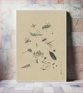 Πίνακας, [Frogs, snails, and insects, including grasshoppers, beetles, wasps, and dragonflies]