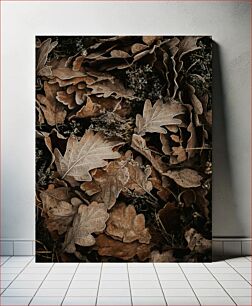 Πίνακας, Frosted Autumn Leaves Παγωμένα Φθινοπωρινά Φύλλα