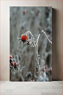 Πίνακας, Frosted Berries in Winter Παγωμένα μούρα το χειμώνα